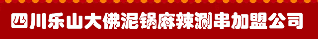 网诚网络